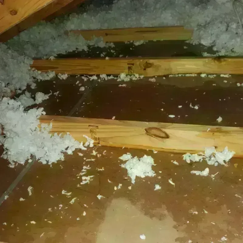 Attic Water Damage in Valley Falls, RI