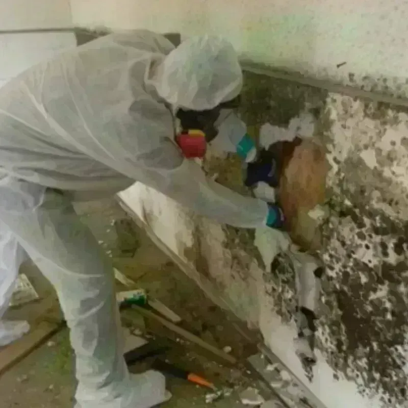 Mold Remediation and Removal in Valley Falls, RI